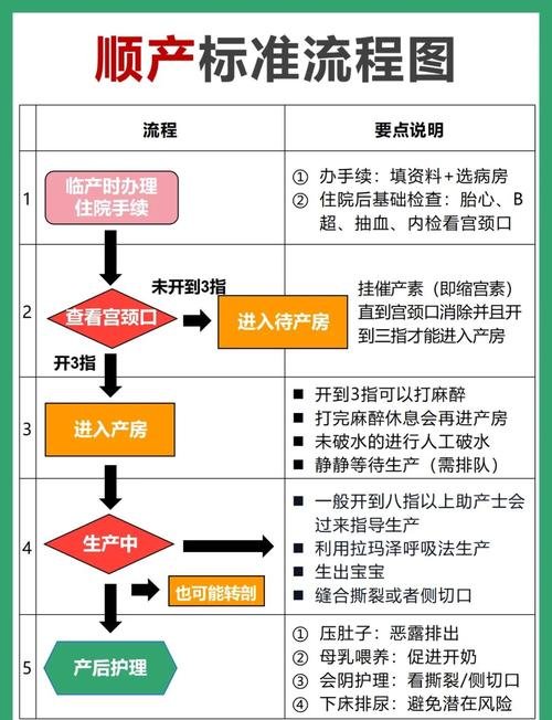 代孕流程是怎样的_代孕流程是怎样的_代孕流程是怎样的