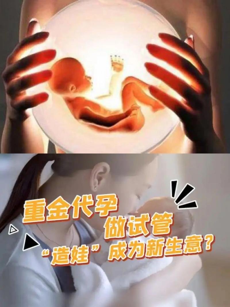 国外代孕哪个国家成功率高_国外代孕哪个国家成功率高_国外代孕哪个国家成功率高