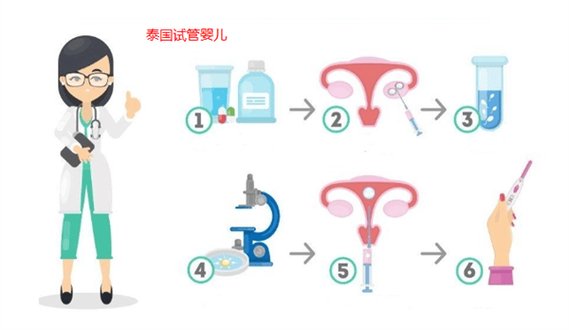 泰国代孕费用_泰国代孕费用_泰国代孕费用