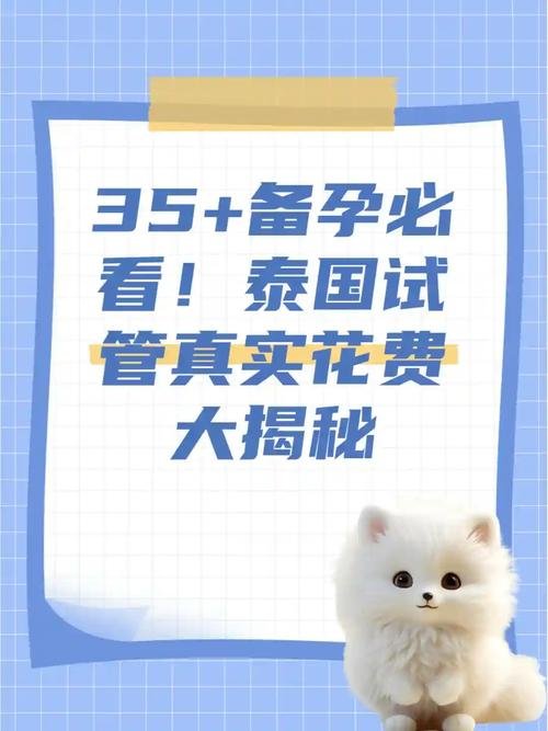 泰国代孕费用_泰国代孕费用_泰国代孕费用