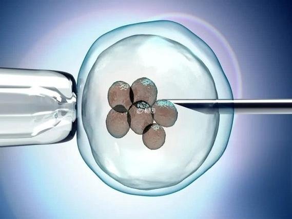乌克兰试管助孕成功_2026-03-31 乌克兰五大实力试管婴儿助孕团队专业背景,高成功率服务重点介绍!_孕乌克兰际试管婴儿开启